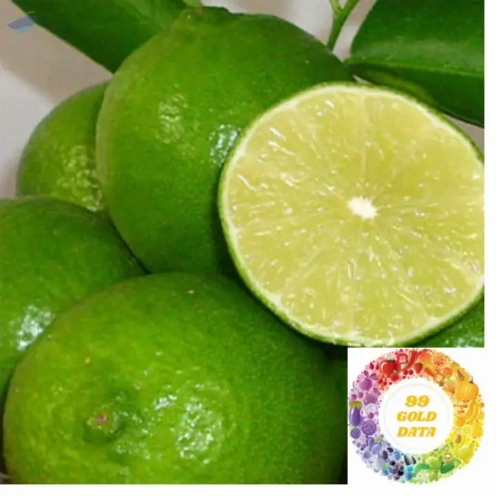 Fresh Lime