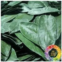 Dried Soursop Leaf