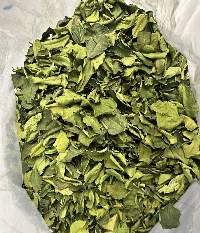 Lime Leaf