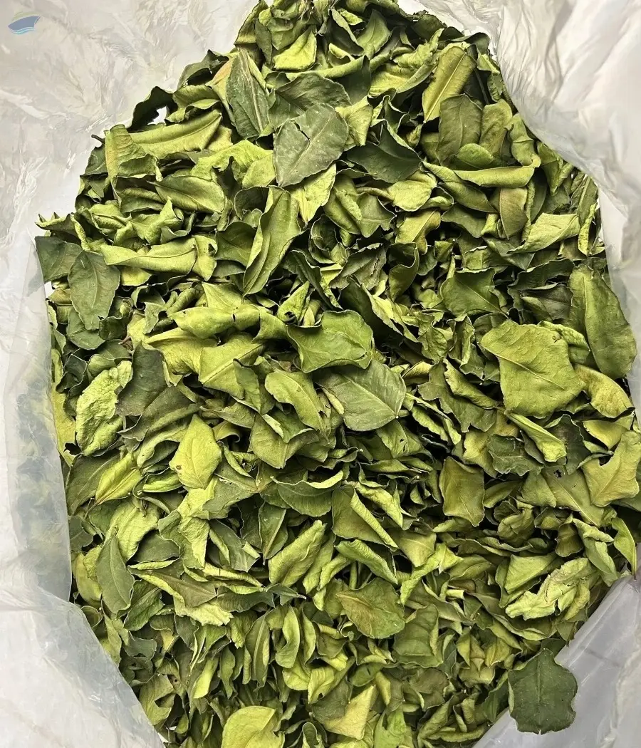 Lime Leaf