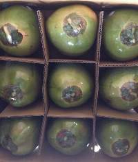 Fresh Young Coconut