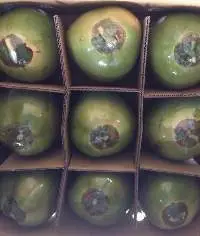 Fresh Young Coconut