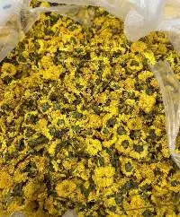 Dried Daisy Flower
