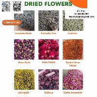 Dried Flowers