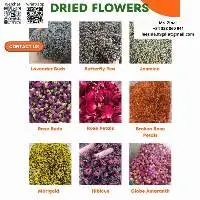 Dried Flowers