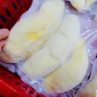 Frozen Durian