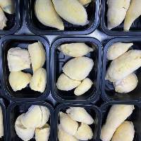 Frozen Durian