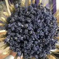 Dried Lavender