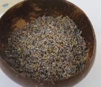 Dried Lavender