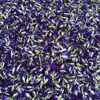 Natural Dried Butterfly Pea Flower - Macy