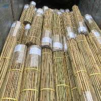 Bamboo Poles