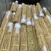 Bamboo Poles