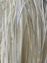 Rattan Core