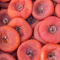 Dried Persimmon