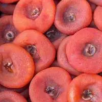Dried Persimmon