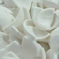 Frozen Coconut Meat