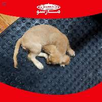 Marso Pet Rubber Flooring