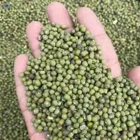 Green Mung Beans