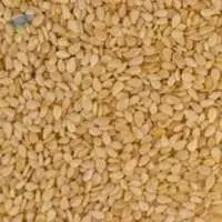 Sesame Seeds
