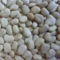 Butter Beans