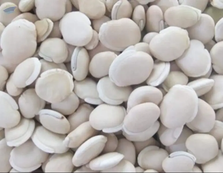 Lab Lab Beans