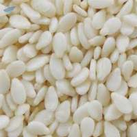 Sesame Seed