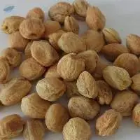 Dry Apricot ( White )
