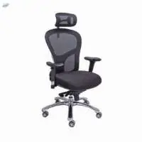 Daffodil High Back Chair