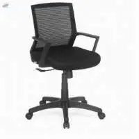 Mercury Low Back Chair