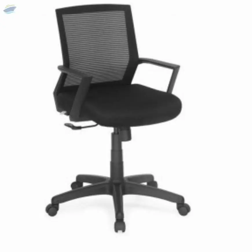 Mercury Low Back Chair