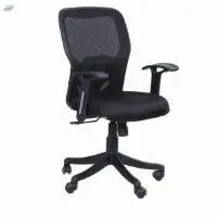 Sage Medium Back Chair