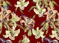 Shalimar Wall To Wall Carpet