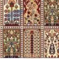 Shalimar Wall To Wall Carpet