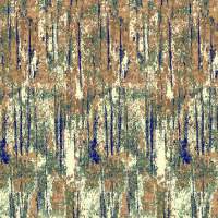 Shalimar Wall To Wall Carpet