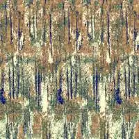 Shalimar Wall To Wall Carpet