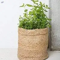 Natural Jute Handcrafted Woven Storage Basket