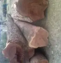 Balsamo /  Santos Mahogany Logs