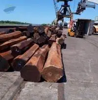 Brown Ebony / Guayacan Debarked Logs