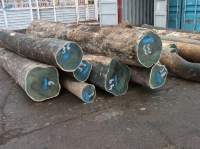 Palo Santo / Lignum Vitae Cylinders