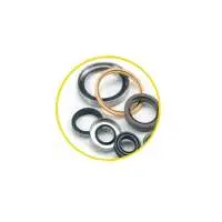 Oil seals