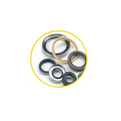 Oil seals