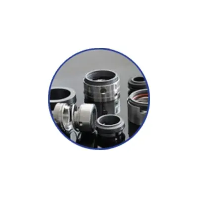 Mechanical Seals