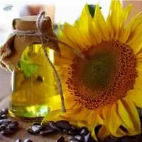 Sunflower Oil