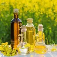 Canola Oil