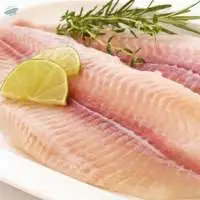 Basa Fillet