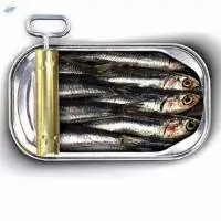 Canned Sardine
