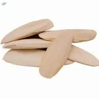 Cuttlefish Bone Well Dried