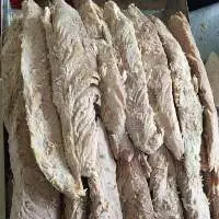 Pre- Cooked Skipjack Tuna Loins