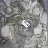Octopus Whole And Octopus Cleaned
