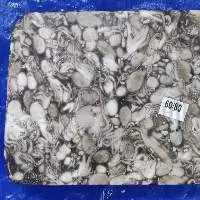 Baby Octous whole 40/60, 60/80 up